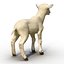 Lamb Modèle 3D