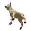 Lamb Modèle 3D