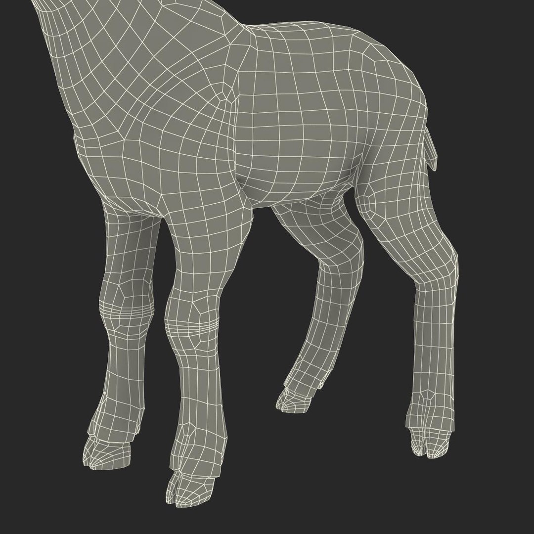 lamb 3d max https://p.turbosquid.com/ts-thumb/EK/8sHYLd/AeRZULDN/lamb3ds3dmodel48/jpg/1469181229/1920x1080/fit_q87/a485d7f500d79bffb31291485796970759b77b39/lamb3ds3dmodel48.jpg