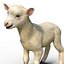 Lamb Modèle 3D