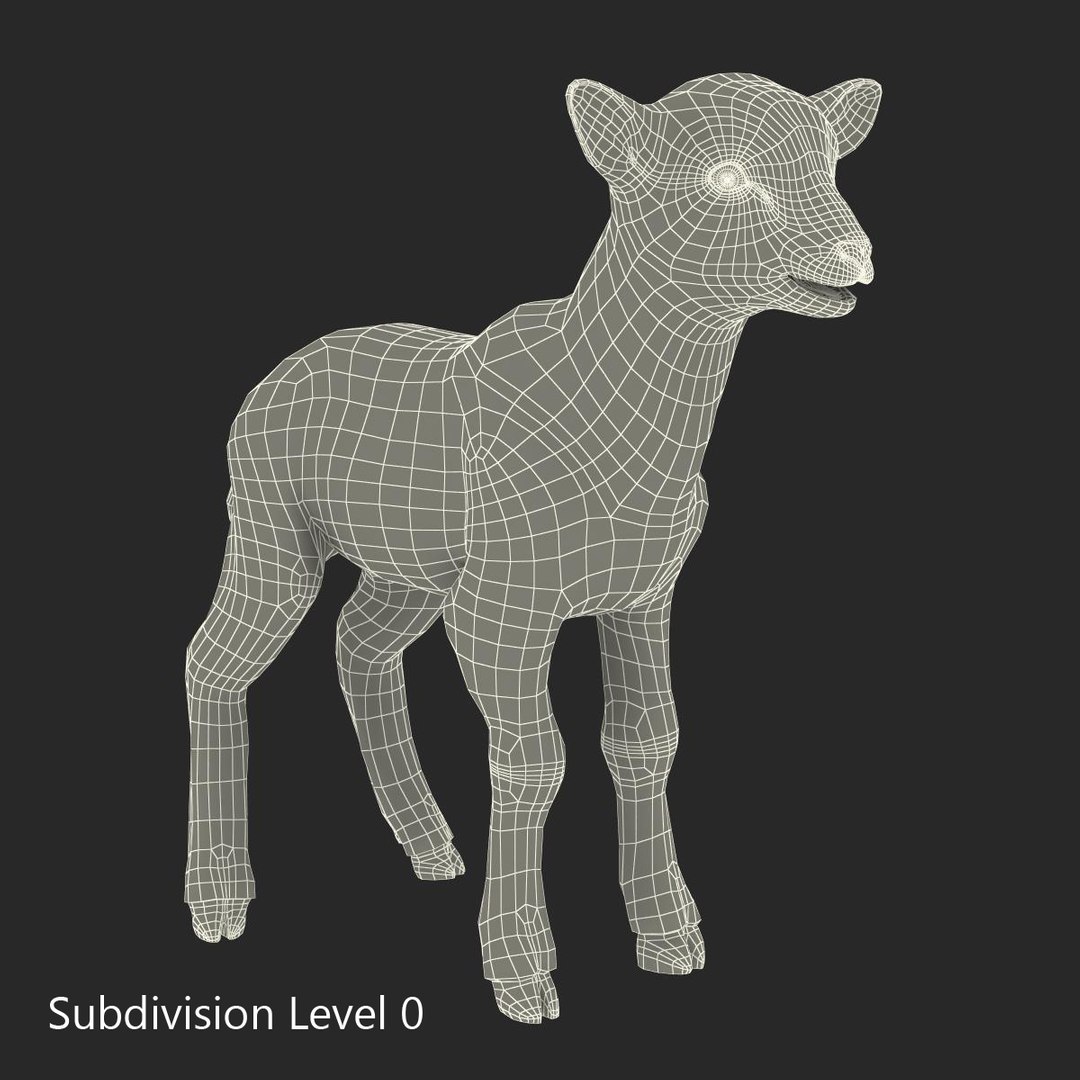 lamb 3d max https://p.turbosquid.com/ts-thumb/EK/8sHYLd/J3BwX5zX/lamb3ds3dmodel30/jpg/1469181229/1920x1080/fit_q87/5c1fe2156498107ef27470fc565f91ba9704a802/lamb3ds3dmodel30.jpg