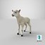 Lamb Modèle 3D