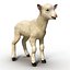 Lamb Modèle 3D