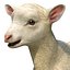 Lamb Modèle 3D
