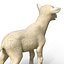Lamb Modèle 3D