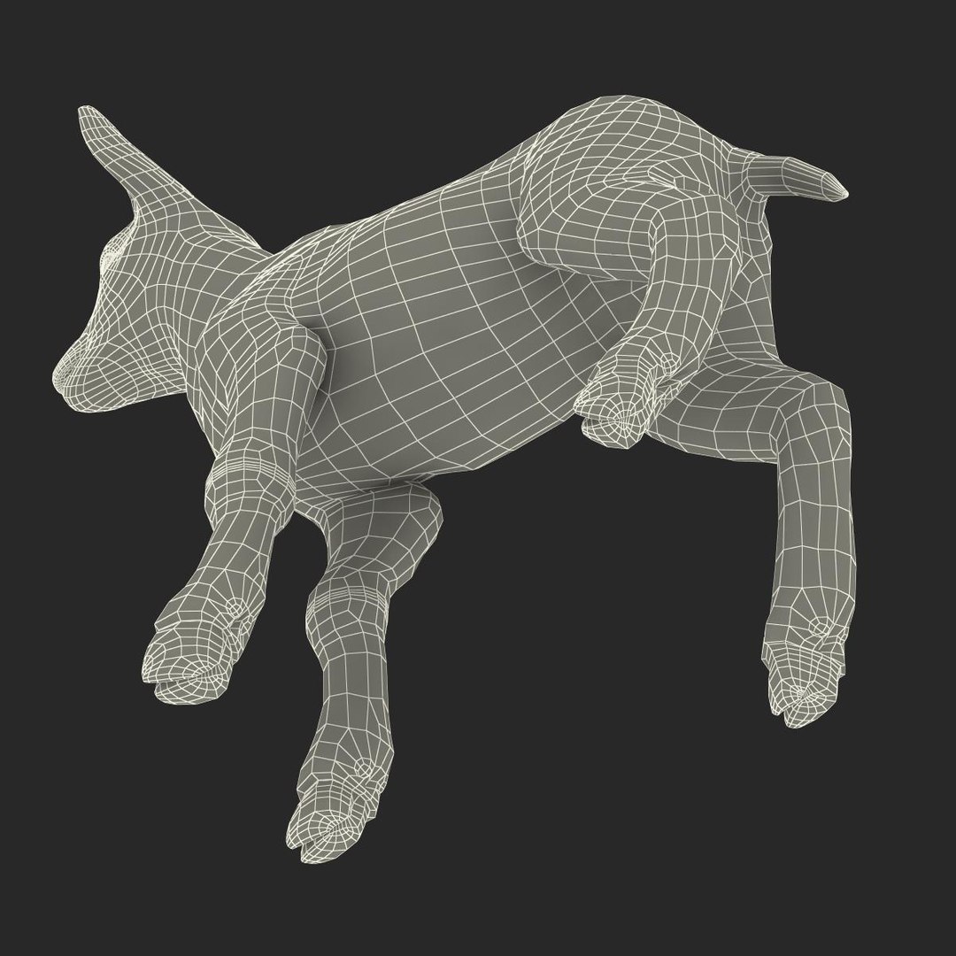 lamb 3d max https://p.turbosquid.com/ts-thumb/EK/8sHYLd/k1bnnR1Q/lamb3ds3dmodel43/jpg/1469181229/1920x1080/fit_q87/b5e0623297b6206fe92882da5f0835094241390c/lamb3ds3dmodel43.jpg