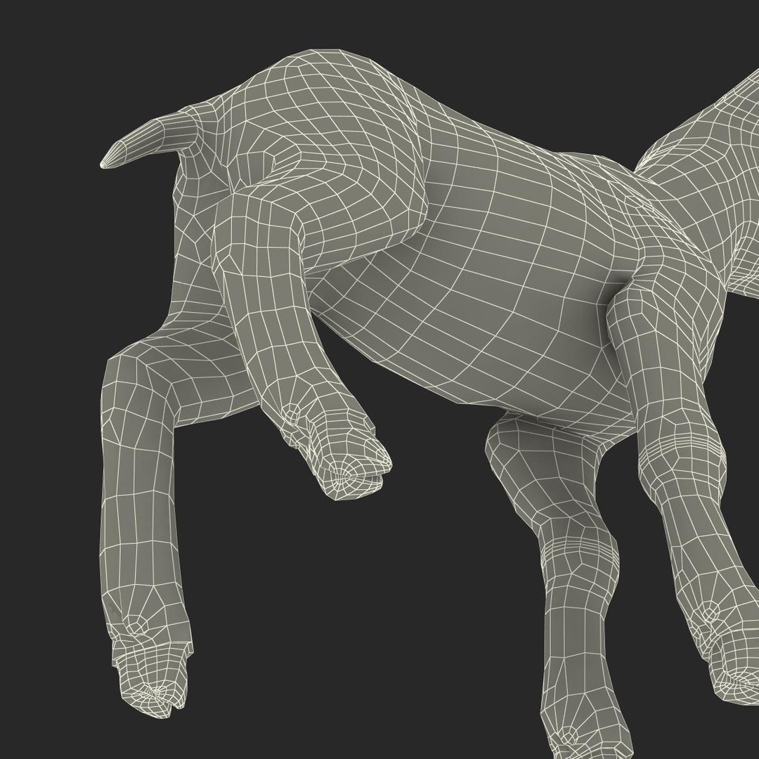 lamb 3d max https://p.turbosquid.com/ts-thumb/EK/8sHYLd/mCayc4S8/lamb3ds3dmodel49/jpg/1469181229/1920x1080/fit_q87/2f19eb28ef8cbedb21a1bd6f91d2b56063de27cb/lamb3ds3dmodel49.jpg