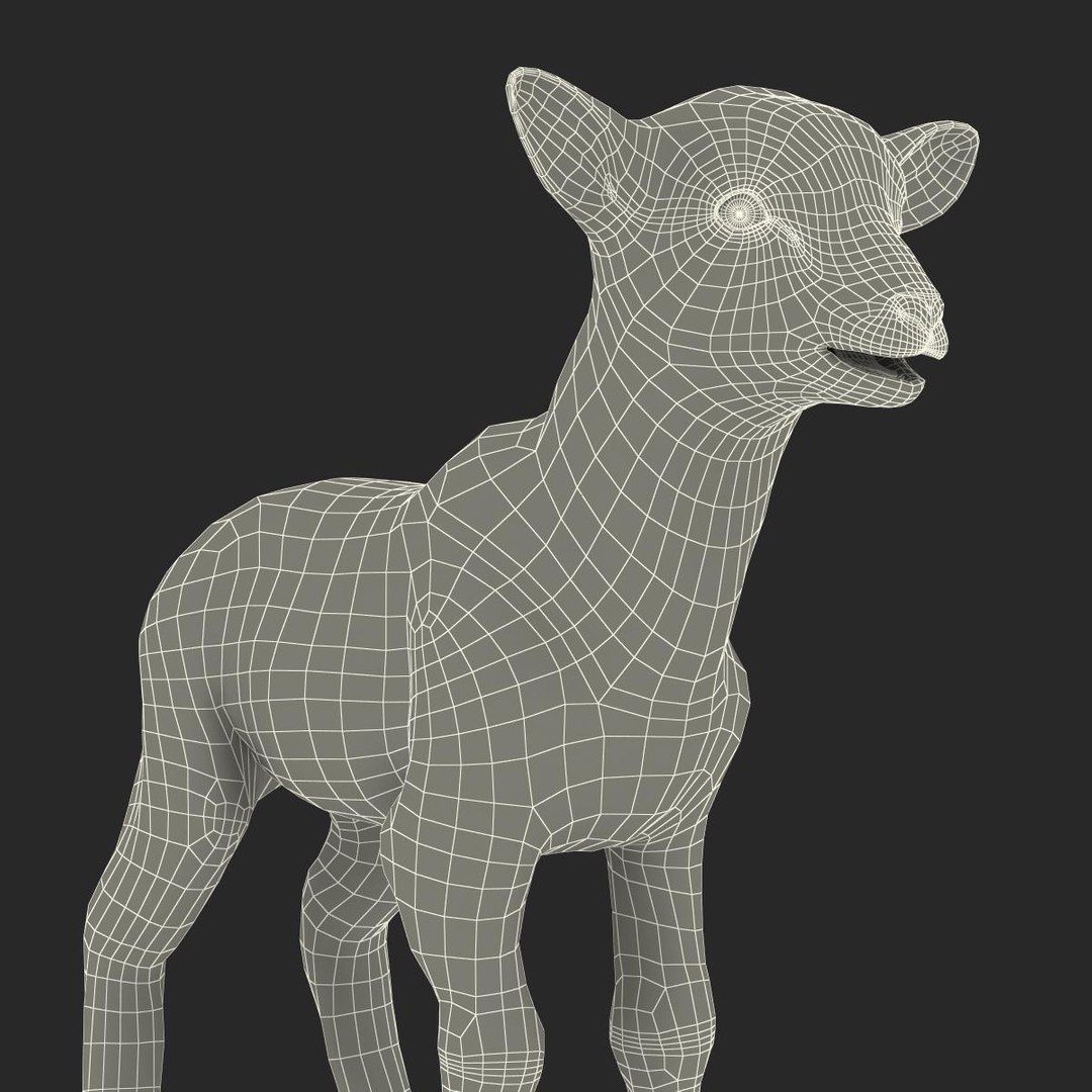 lamb 3d max https://p.turbosquid.com/ts-thumb/EK/8sHYLd/moI73x1B/lamb3ds3dmodel44/jpg/1469181229/1920x1080/fit_q87/2ff414bcdc96230d1baad19fbbcca02b03a648a8/lamb3ds3dmodel44.jpg