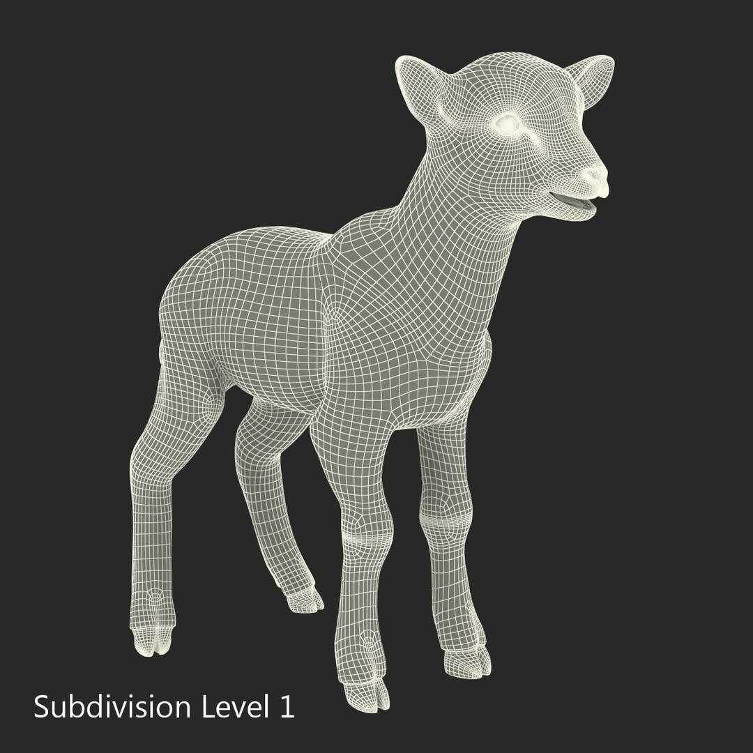 lamb 3d max https://p.turbosquid.com/ts-thumb/EK/8sHYLd/olBS2Snw/lamb3ds3dmodel31/jpg/1469181229/1920x1080/fit_q87/6d376fc1fd1e7342cdfd5e56145596c12e28bd93/lamb3ds3dmodel31.jpg