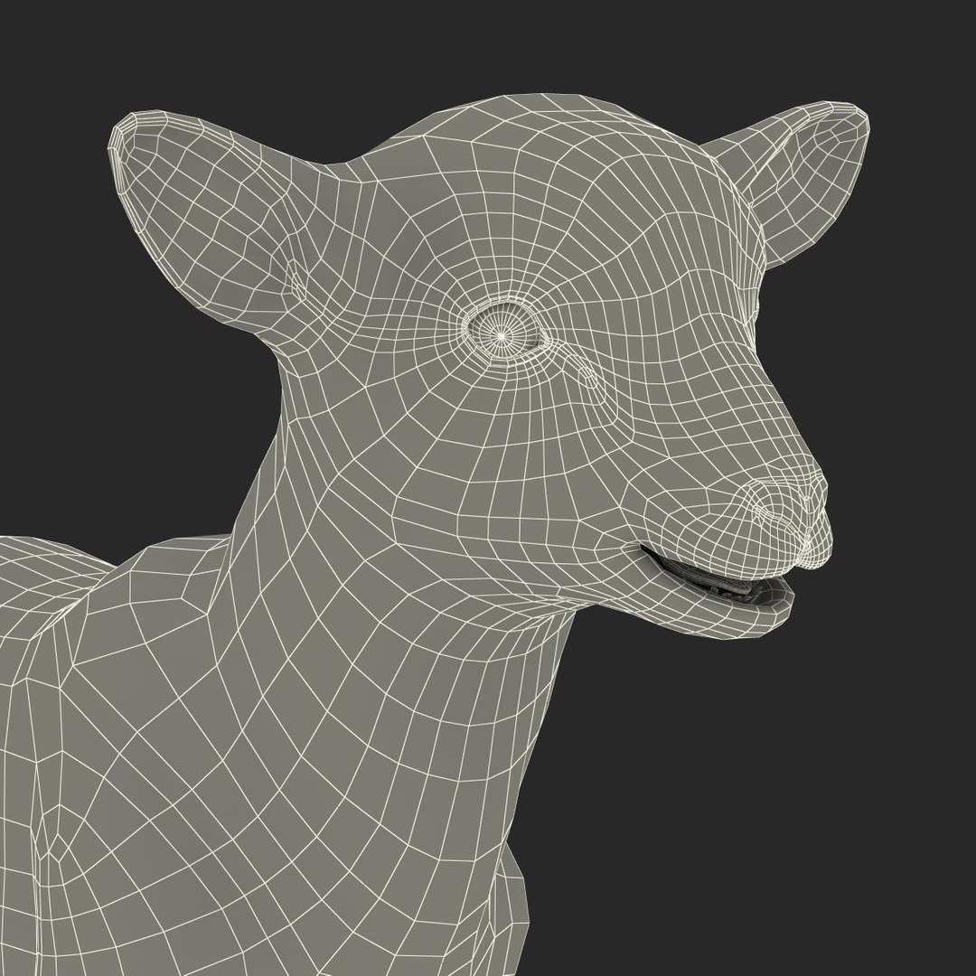 lamb 3d max https://p.turbosquid.com/ts-thumb/EK/8sHYLd/wwCOW83c/lamb3ds3dmodel52/jpg/1469181229/1920x1080/fit_q87/d5c0b075755ab4d348b746dce02b54fb20cdb4d8/lamb3ds3dmodel52.jpg