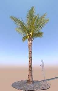 3D mature queen palm b