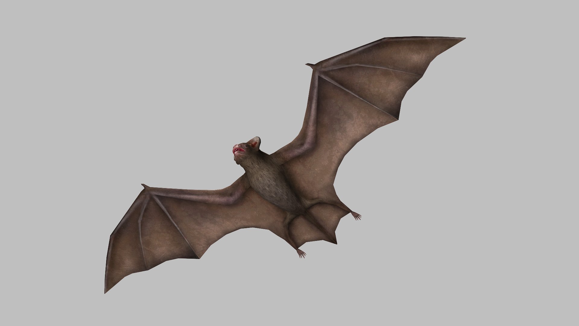 Bat Vampire 3d Model