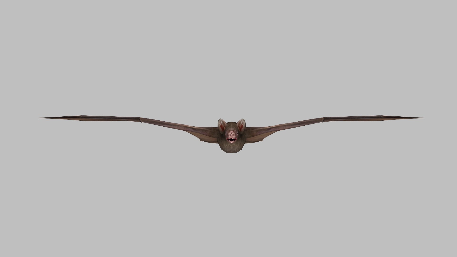 Bat Vampire 3d Model