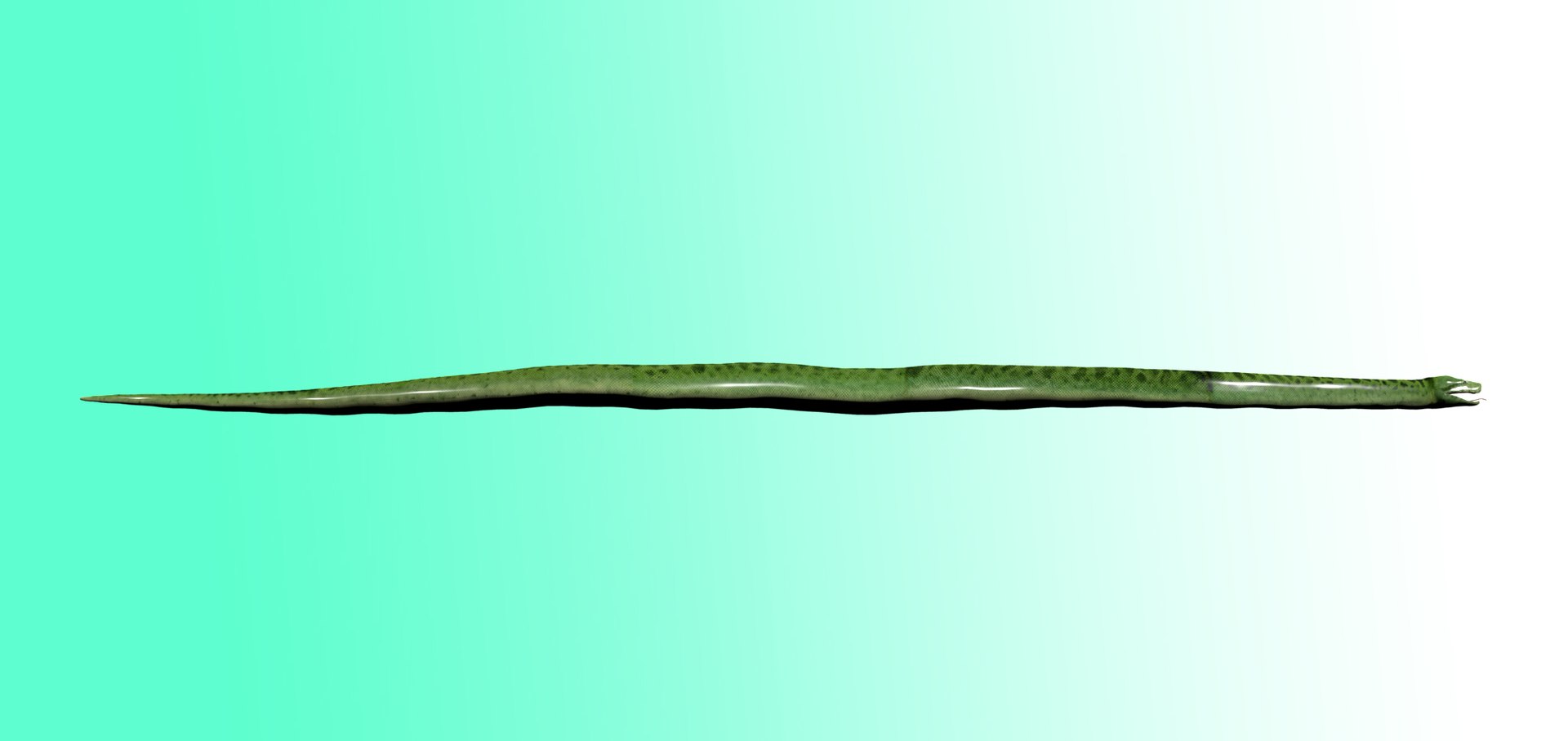 3D Green Python Snake - TurboSquid 2344661