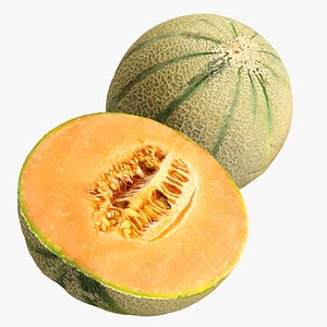 Cantaloupe + Half