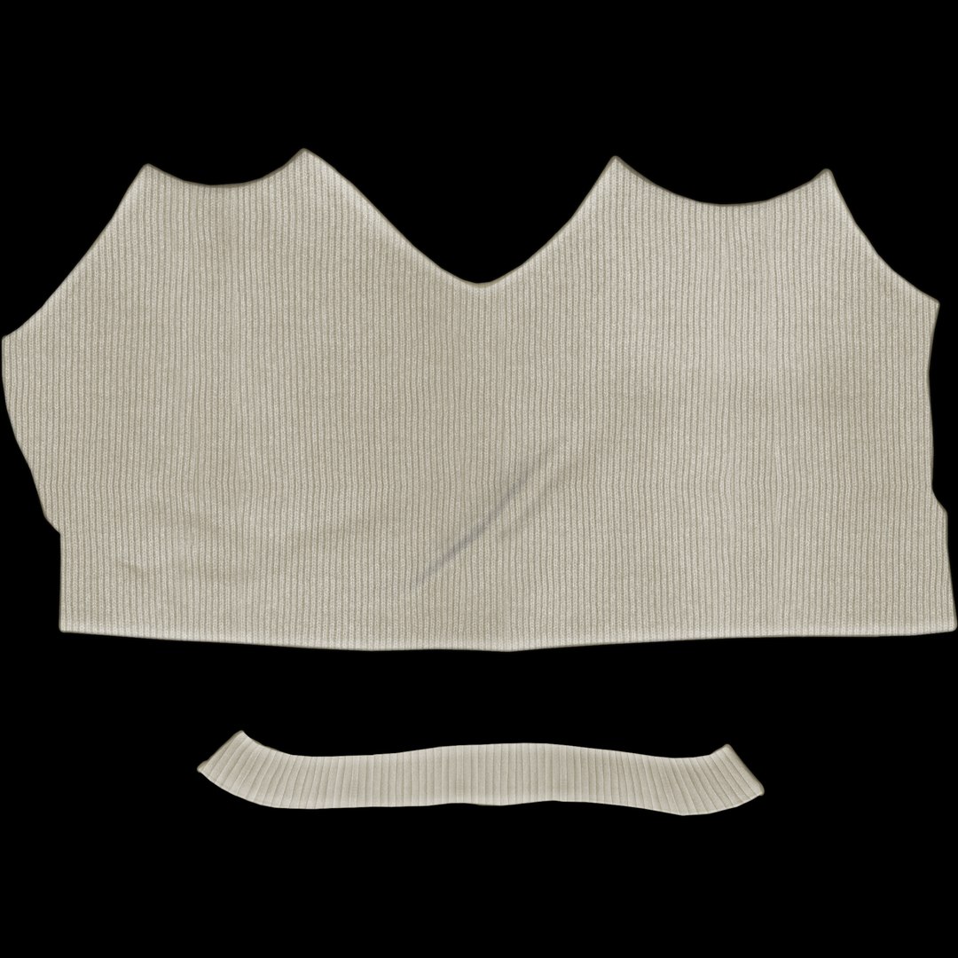 Summer Wooly Crop Top 3D model - TurboSquid 1765534