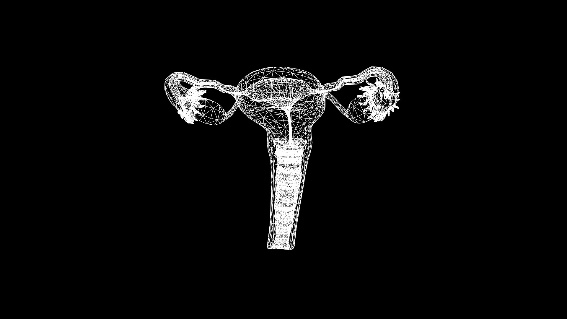 3D Uterus model https://p.turbosquid.com/ts-thumb/EK/wr1Lzg/03/wire/jpg/1686661570/1920x1080/fit_q87/7421e9cd2d7b111ee0a1194d370dd1b6e7ada2d0/wire.jpg