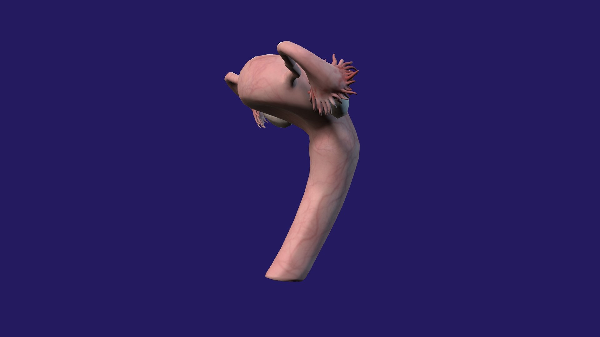 3D Uterus model https://p.turbosquid.com/ts-thumb/EK/wr1Lzg/IH/4/jpg/1686661391/1920x1080/fit_q87/7a119b0dcfa76060a13d92c8d06ac0061603609a/4.jpg