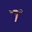 Uterus