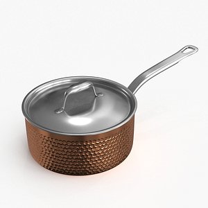 Stainless Steel Cookware Pan v3 3D model