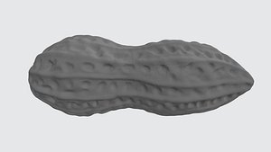 Peanut