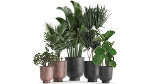 plants planter 3D model