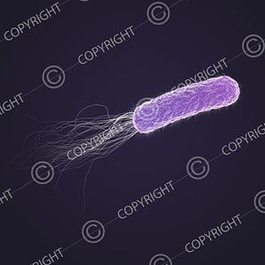 Bacteria 3D Models for Download | TurboSquid