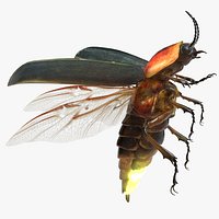 FireFly Bug