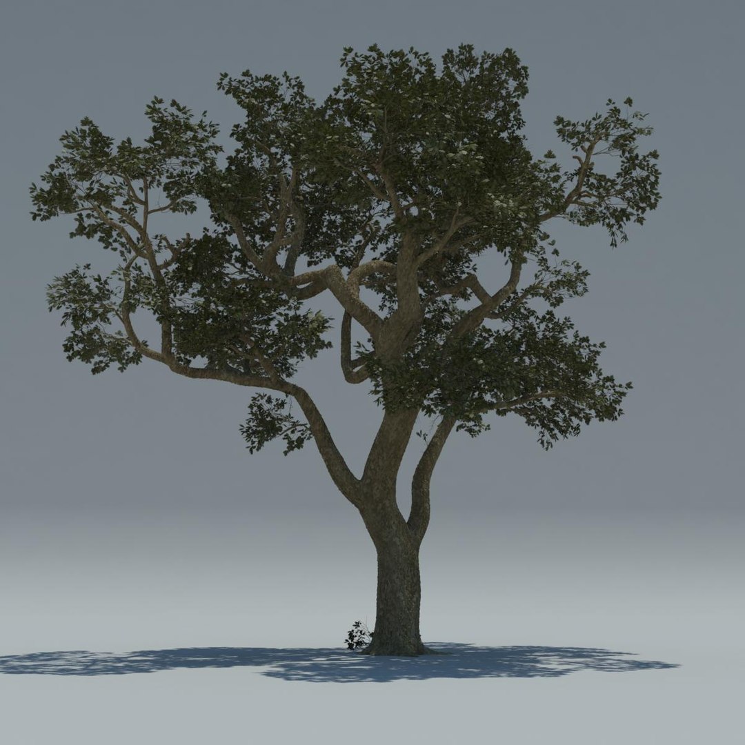 Obj Tree