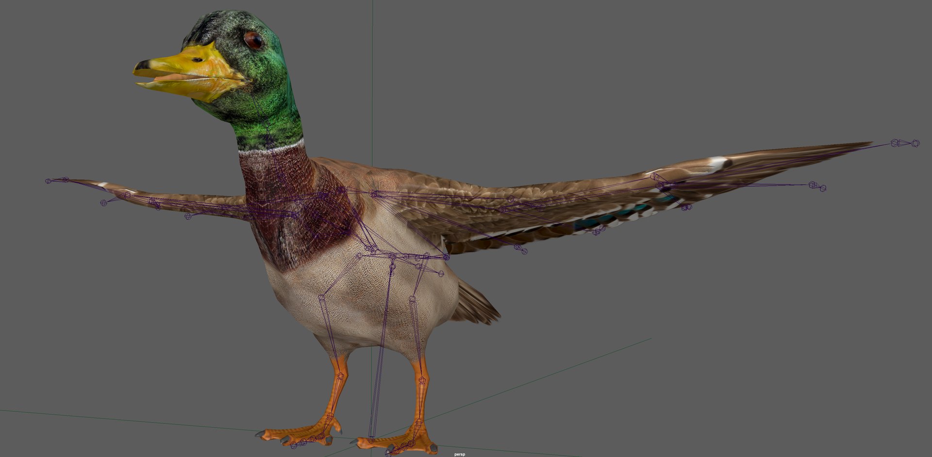 3D Duck Mallard Lowpoly Rigged model https://p.turbosquid.com/ts-thumb/EL/jgKRwy/Am/0/png/1656500317/1920x1080/fit_q87/87370997b197e5aba3cb9dec9a64ffb161f959f2/0.jpg