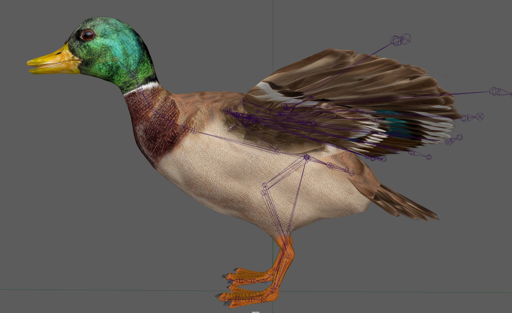 3D Duck Mallard Lowpoly Rigged model https://p.turbosquid.com/ts-thumb/EL/jgKRwy/HZ/7/png/1656500377/1920x1080/fit_q87/ad0a16947bb87308e6b731c19c6543ba3918a13c/7.jpg
