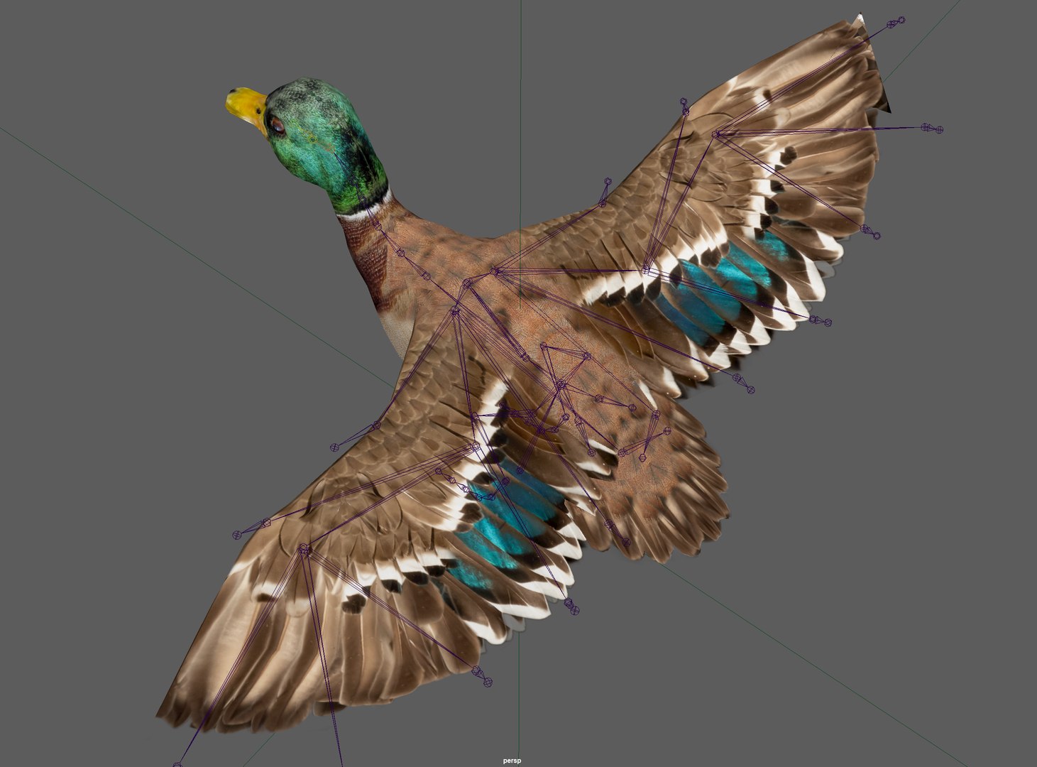 3D Duck Mallard Lowpoly Rigged model https://p.turbosquid.com/ts-thumb/EL/jgKRwy/ds/5/png/1656500351/1920x1080/fit_q87/1fc1e8e7f1821b46a06885a004b48f86fdd7d0c4/5.jpg