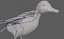 Pato Mallard Lowpoly Rigged