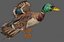 Pato Mallard Lowpoly Rigged