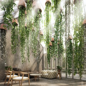 hanging plants 7