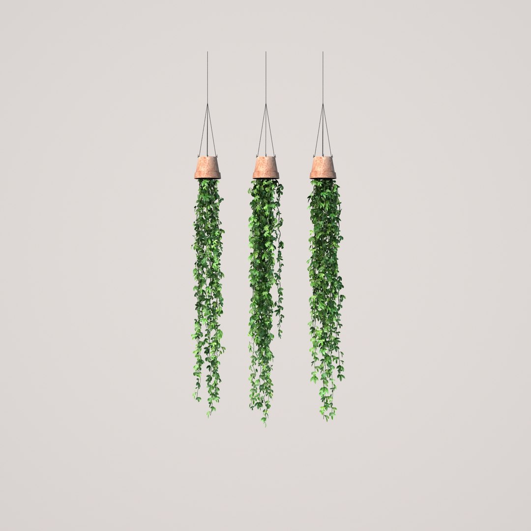 Plant Hanging 3D - TurboSquid 1414077