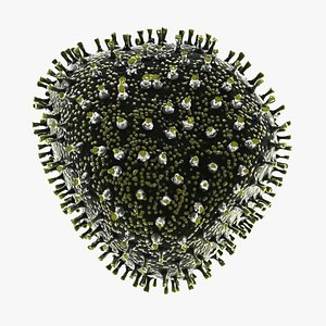 3ds max bird influenza