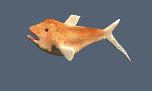 fish 3D