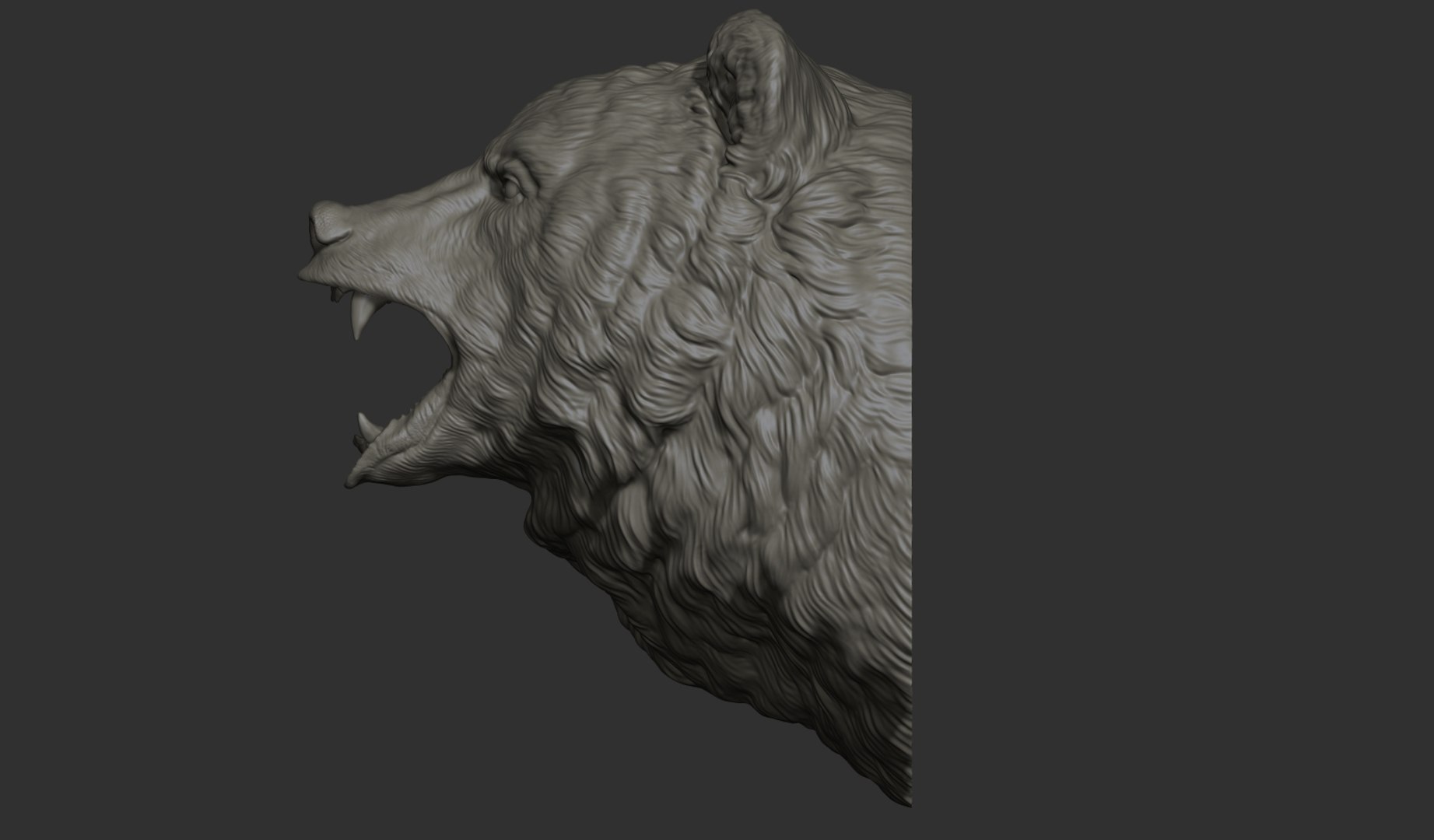 3D model Bear brown head https://p.turbosquid.com/ts-thumb/EM/QV2Ut7/Ei/8/jpg/1633211393/1920x1080/fit_q87/86ee6051a5ac6741a2189b44173718f43ffa0e18/8.jpg