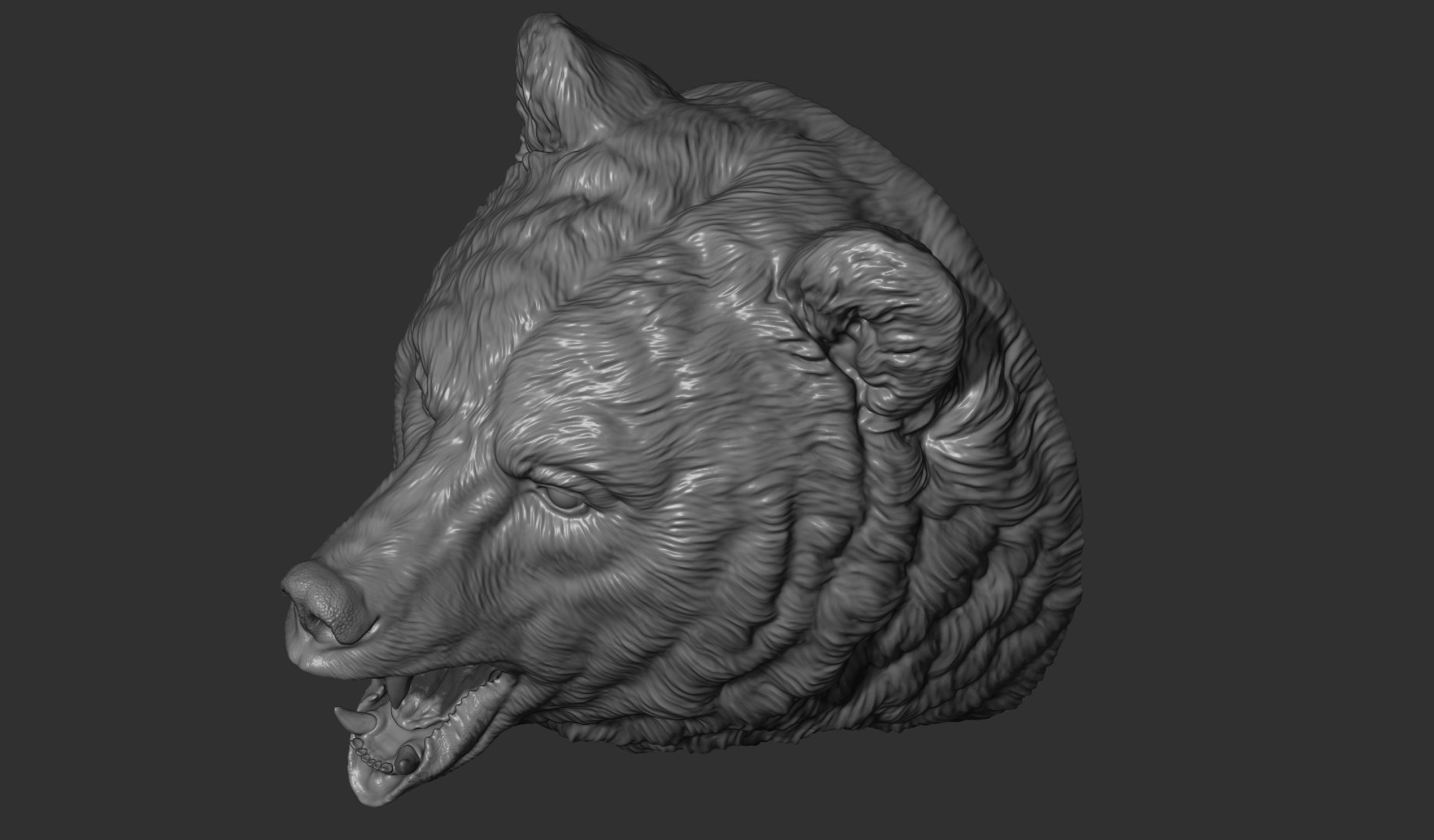3D model Bear brown head https://p.turbosquid.com/ts-thumb/EM/QV2Ut7/Xw/3/jpg/1633211392/1920x1080/fit_q87/665d8ddd85c18062bce21f4df69876ffdeb63249/3.jpg