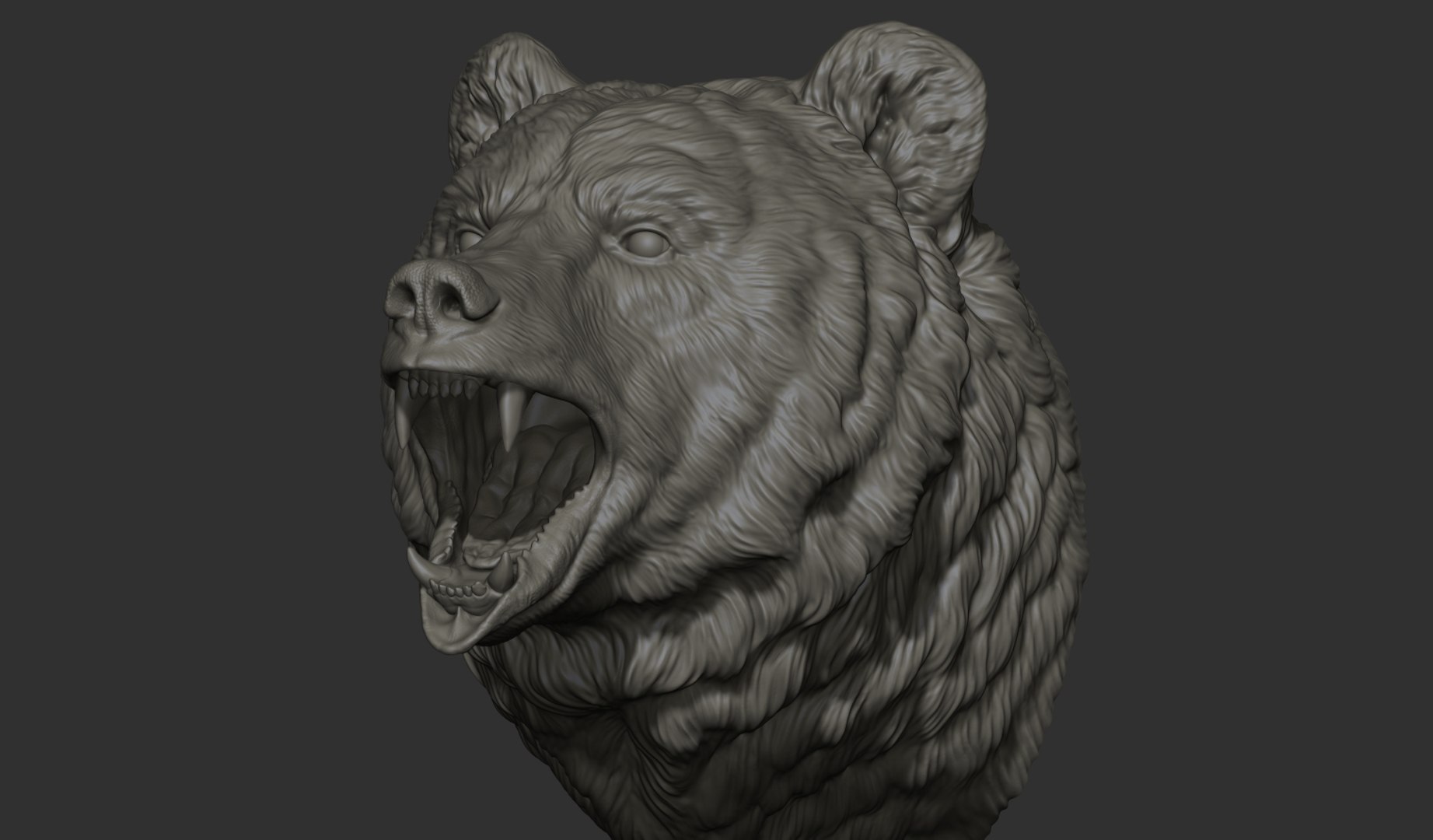 3D model Bear brown head https://p.turbosquid.com/ts-thumb/EM/QV2Ut7/sp/5/jpg/1633211394/1920x1080/fit_q87/68597a918bb4d097a1cb916b12d29fde710bee5f/5.jpg