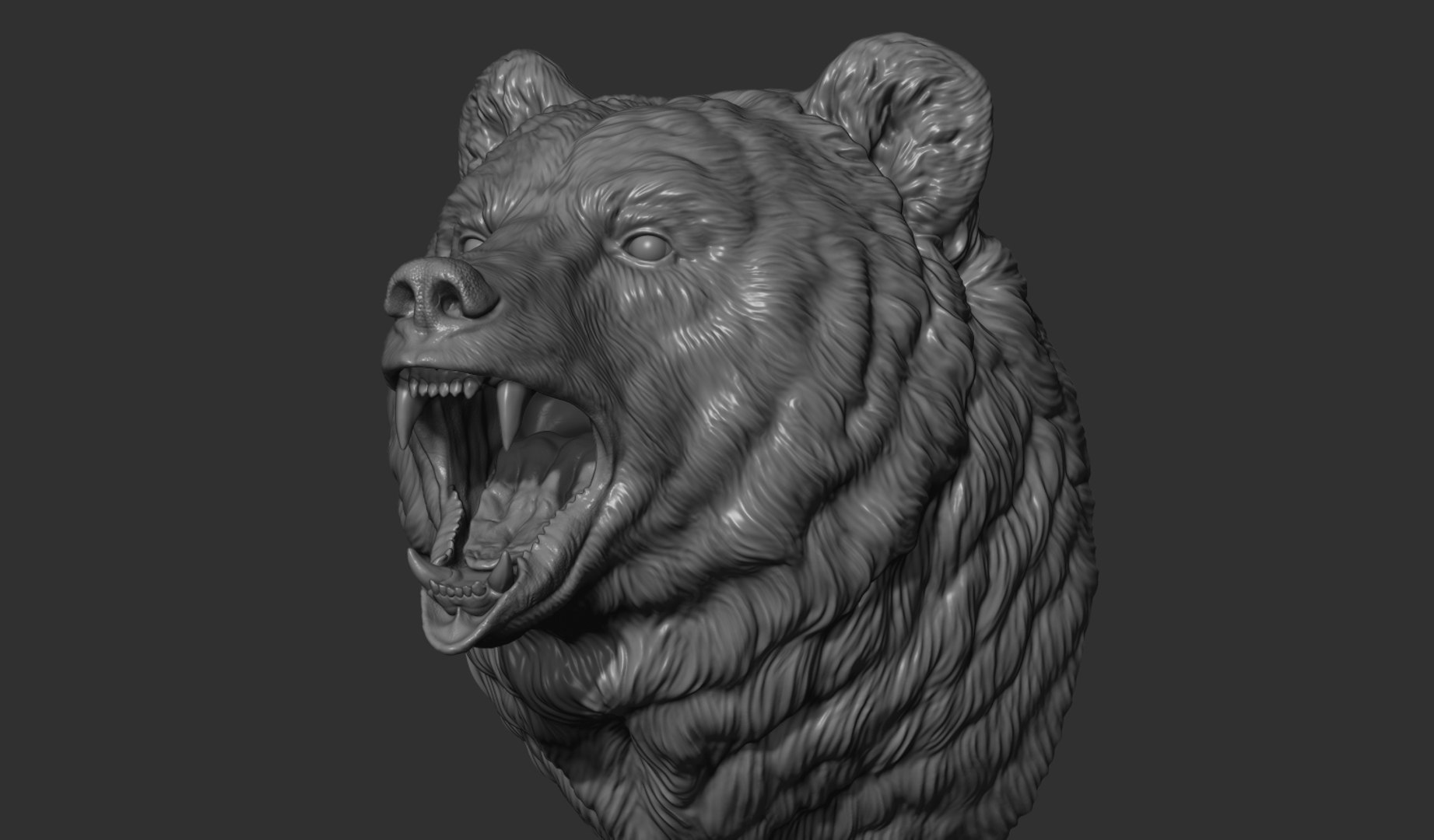 3D model Bear brown head https://p.turbosquid.com/ts-thumb/EM/QV2Ut7/uw/4/jpg/1633211393/1920x1080/fit_q87/937fd15eac262868c33401ef6a702d74aae4ec59/4.jpg