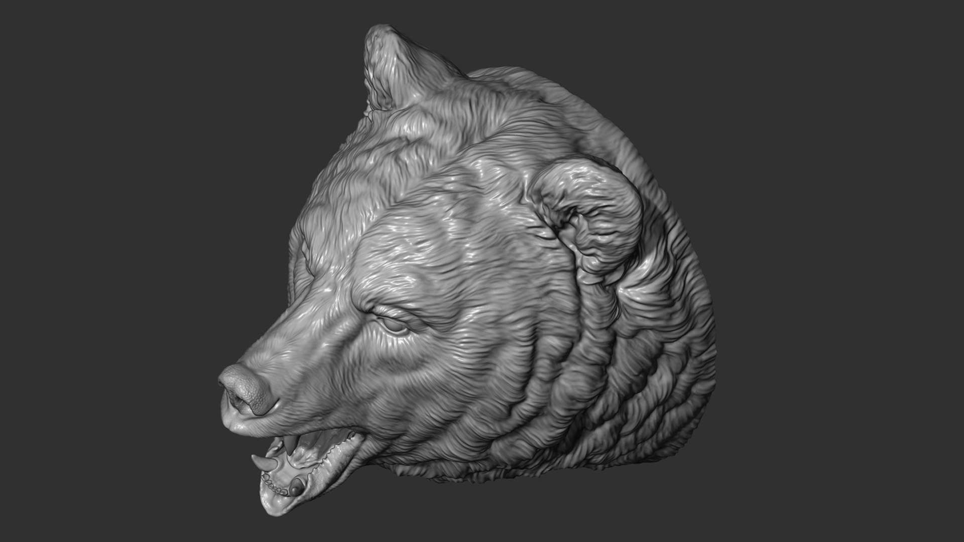3D model Bear brown head https://p.turbosquid.com/ts-thumb/EM/QV2Ut7/y1/2/jpg/1633211392/1920x1080/fit_q87/e24de932e4b4e501cbba22b9b85f0c02f43e16da/2.jpg