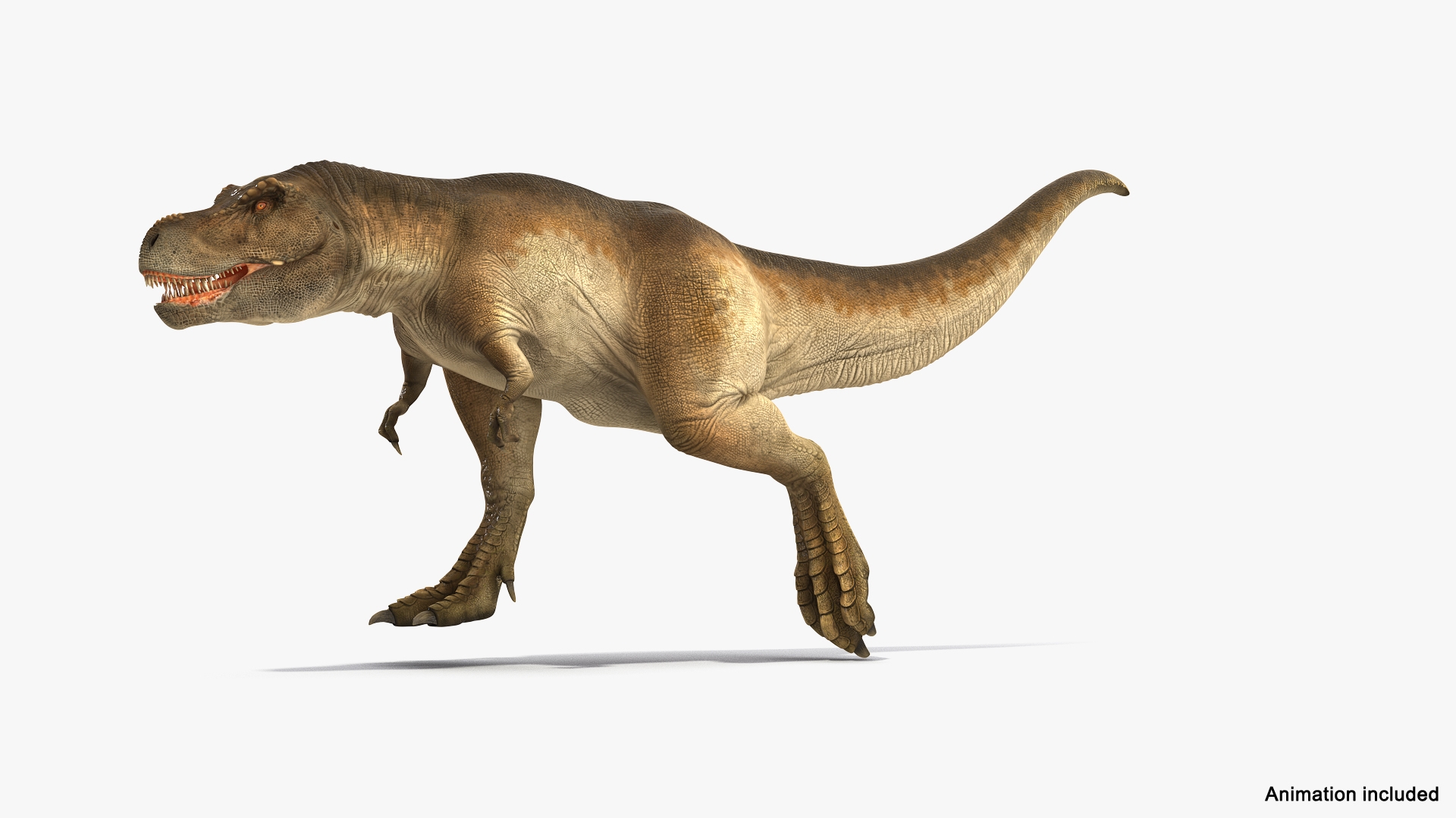 T-Rex dinosaur running. 3D illustration. - Stock Illustration