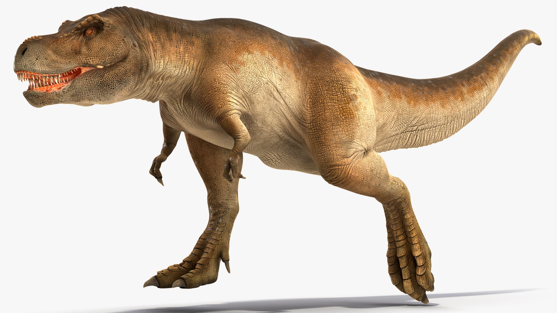 Tyrannosaurus rex dinosaur running - Stock Image - E446/0614 - Science  Photo Library