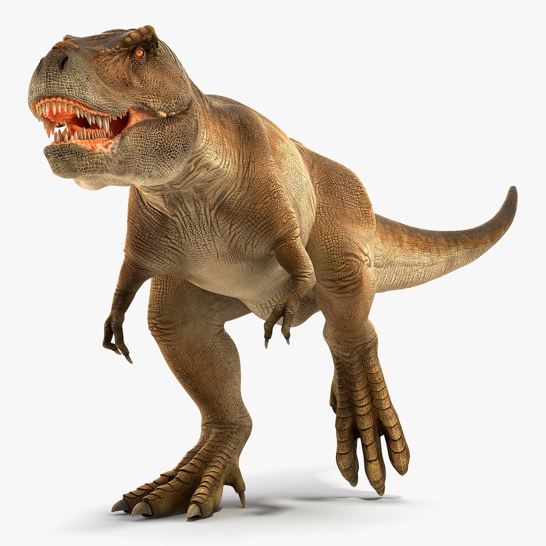 Animated Tyrannosaurus Rex Running Rigged for Cinema 4D 3D model preview