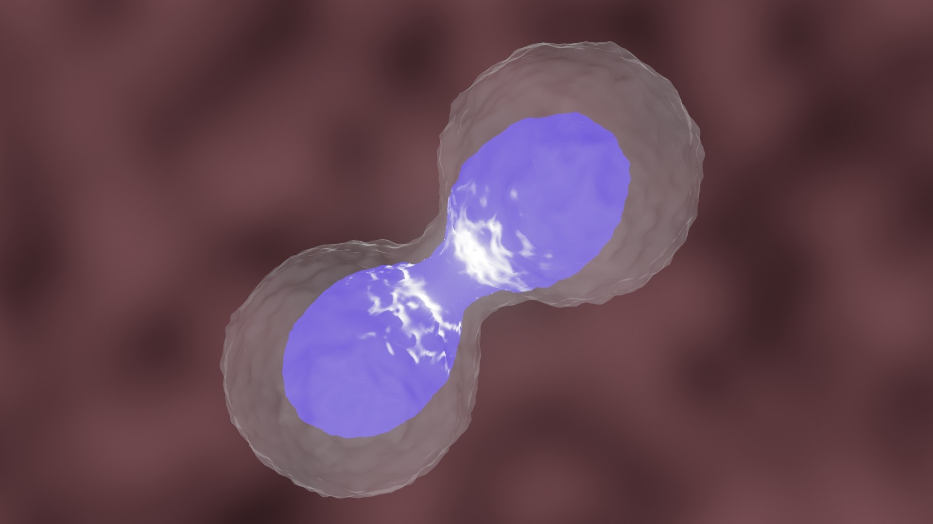 Cell Division or Mitosis 3D https://p.turbosquid.com/ts-thumb/EM/zxWyKU/Cd/celldivisionnew40001/jpg/1683868963/1920x1080/fit_q87/e9c25fc6b545750addee5c282c1a54e4a0837498/celldivisionnew40001.jpg