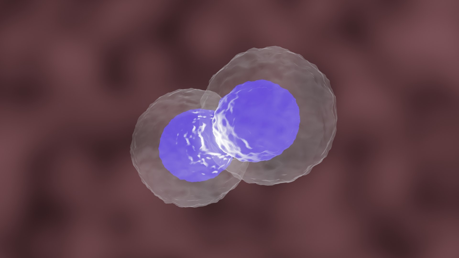 Cell Division Or Mitosis 3D - TurboSquid 2069298