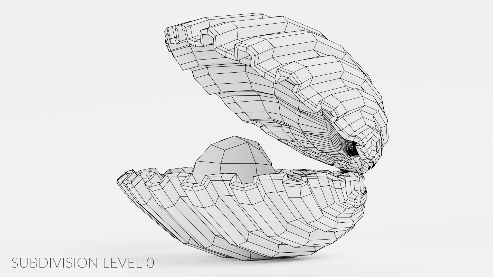 Clam Pearl Model TurboSquid 1491458