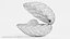 Clam with Pearl 4